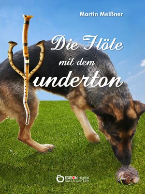 cover image of Die Flöte mit dem Wunderton